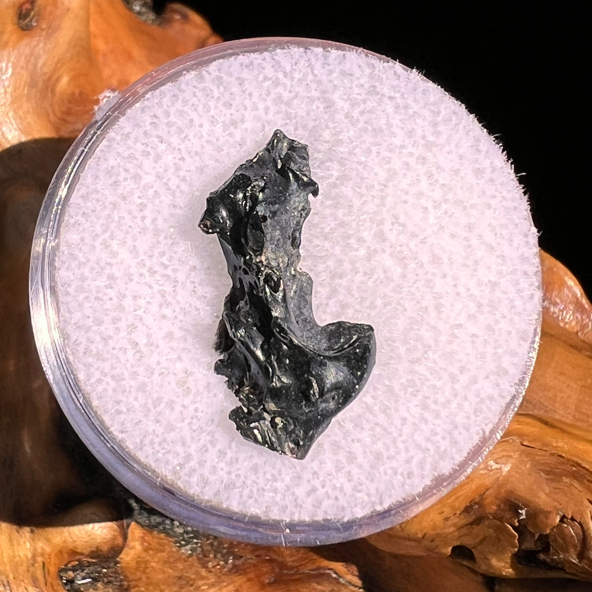 Irgizite Tektite #112-Moldavite Life