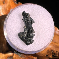 Irgizite Tektite #112-Moldavite Life