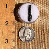 Irgizite Tektite #115-Moldavite Life