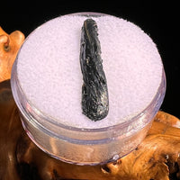 Irgizite Tektite #115-Moldavite Life