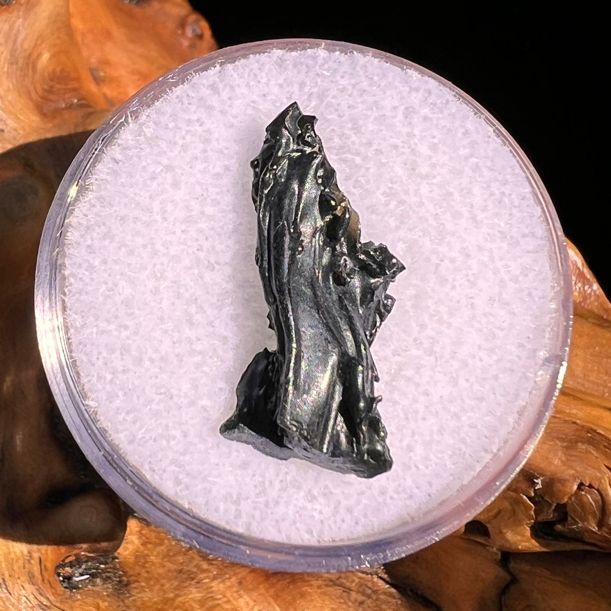 Irgizite Tektite #116-Moldavite Life