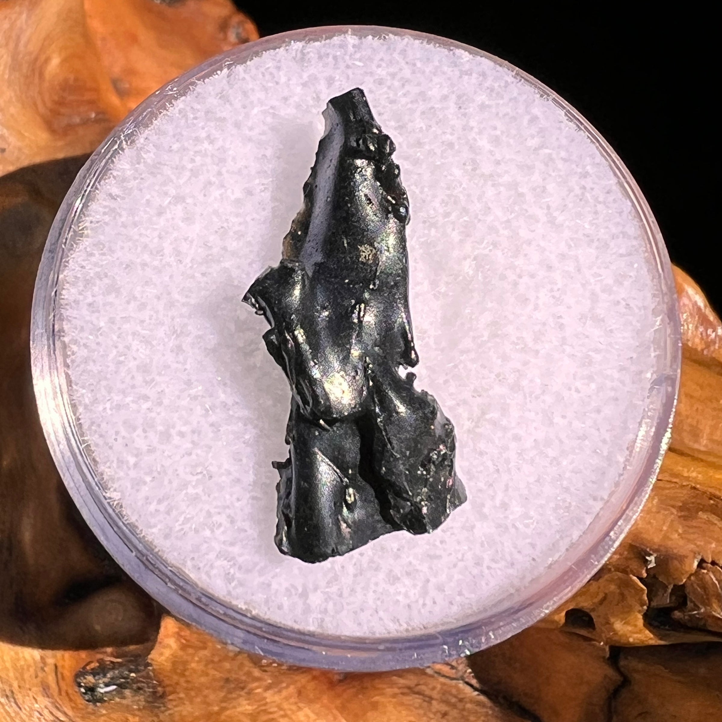 Irgizite Tektite #116-Moldavite Life