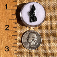 Irgizite Tektite #116-Moldavite Life