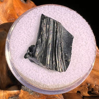 Irgizite Tektite #117-Moldavite Life