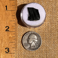 Irgizite Tektite #117-Moldavite Life