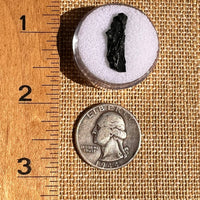 Irgizite Tektite #118-Moldavite Life