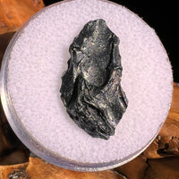 Irgizite Tektite #119-Moldavite Life