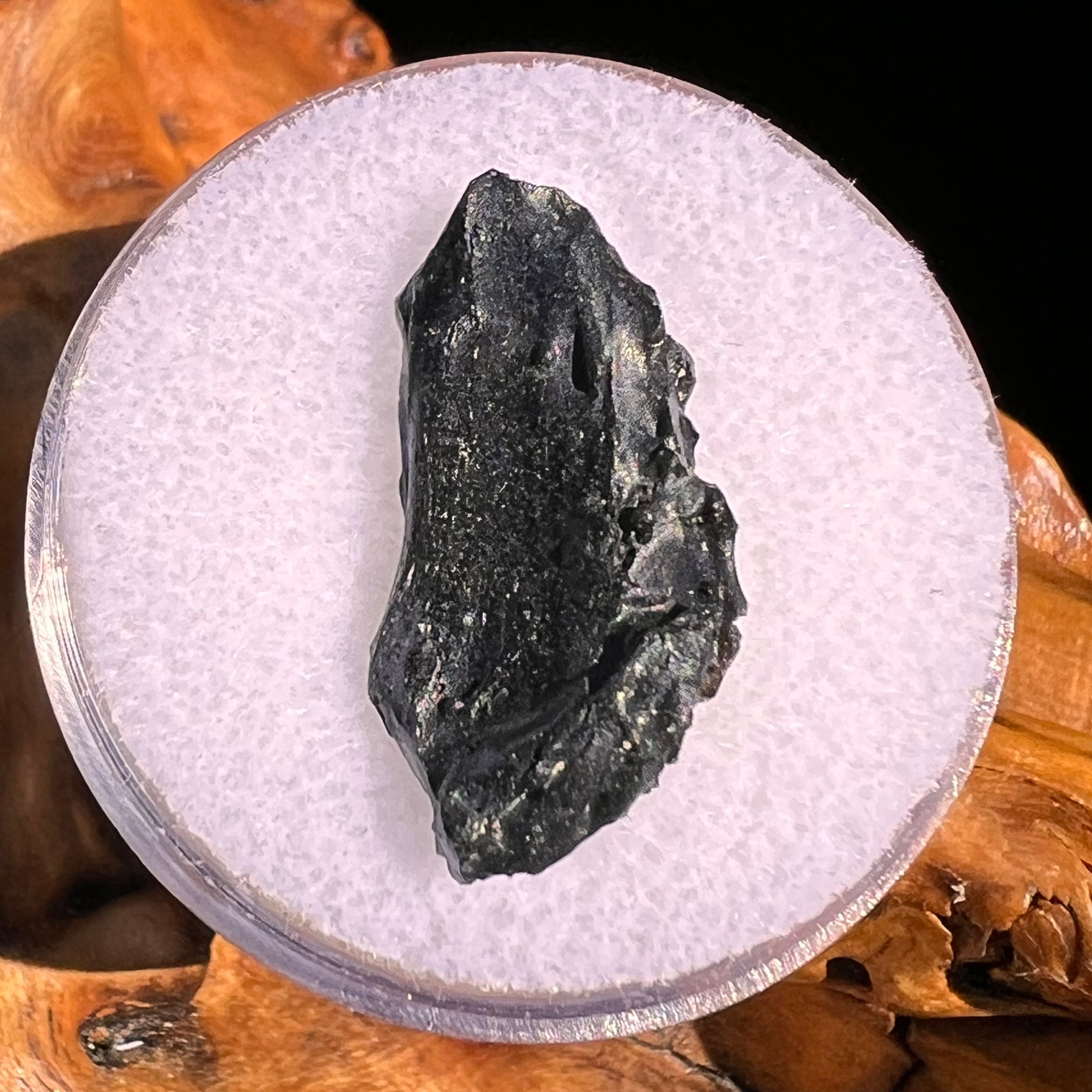 Irgizite Tektite #119-Moldavite Life