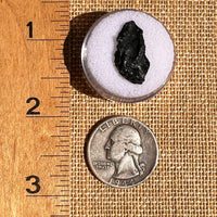 Irgizite Tektite #119-Moldavite Life