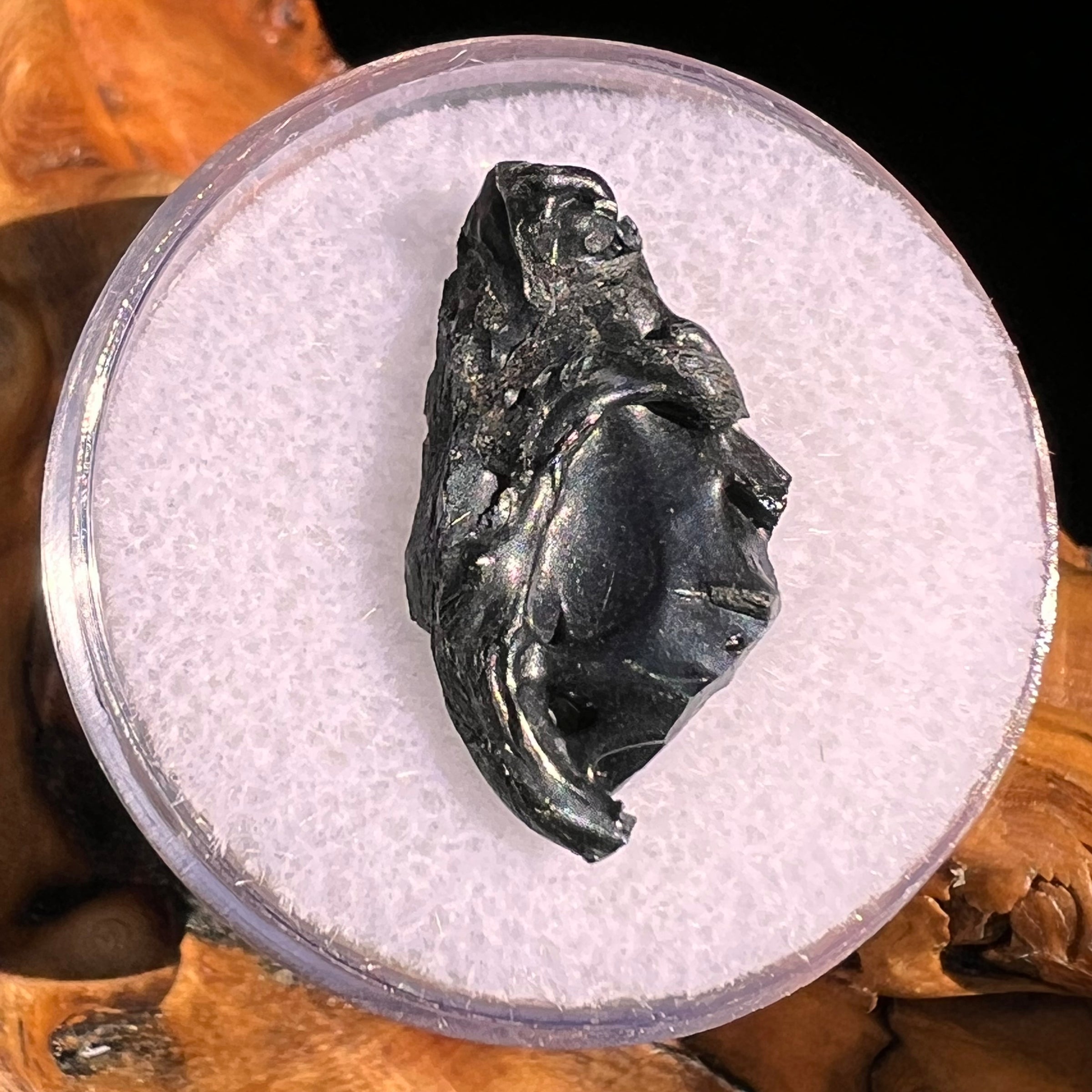 Irgizite Tektite #120-Moldavite Life