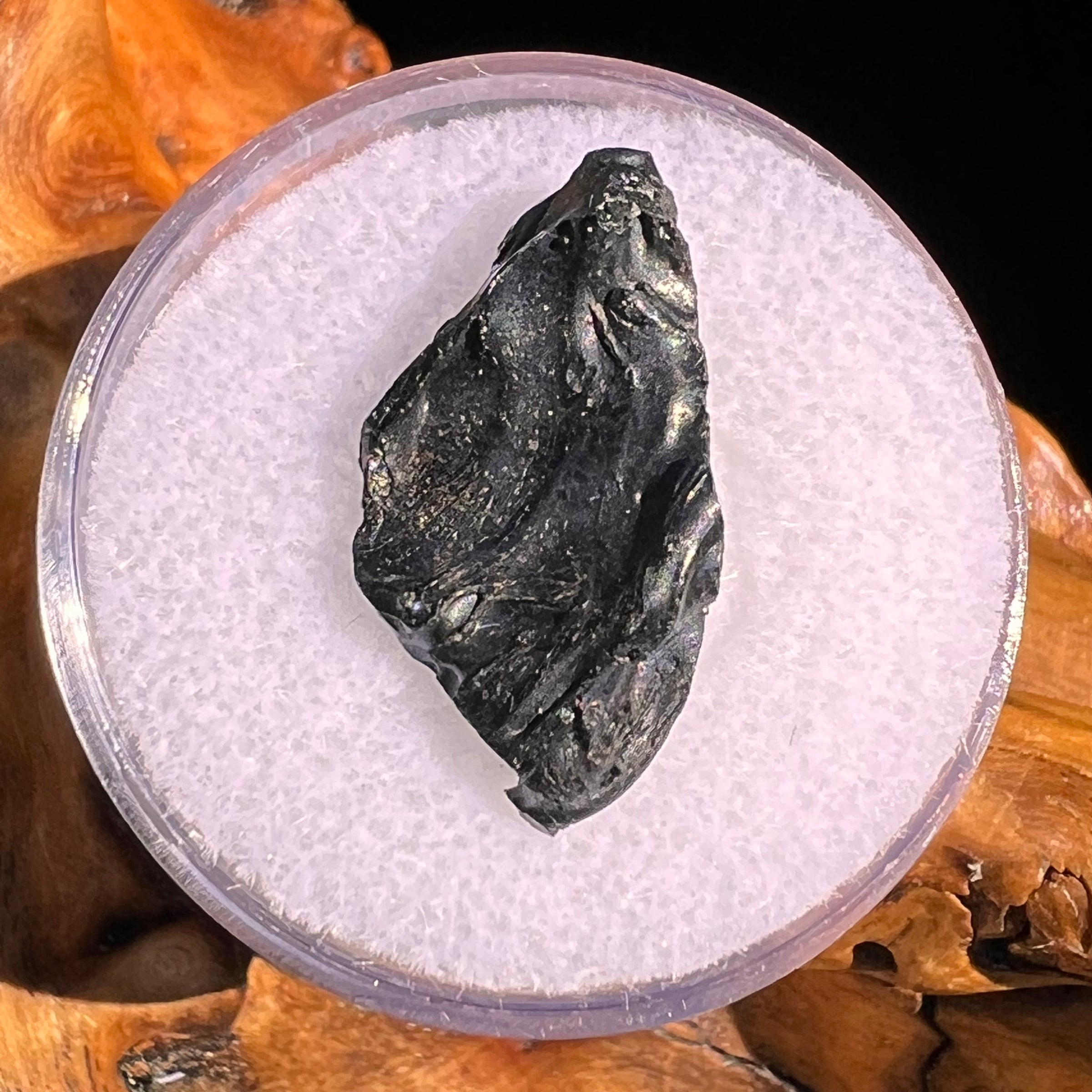 Irgizite Tektite #120-Moldavite Life