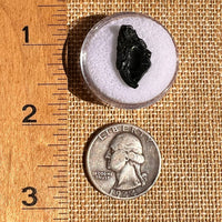 Irgizite Tektite #120-Moldavite Life
