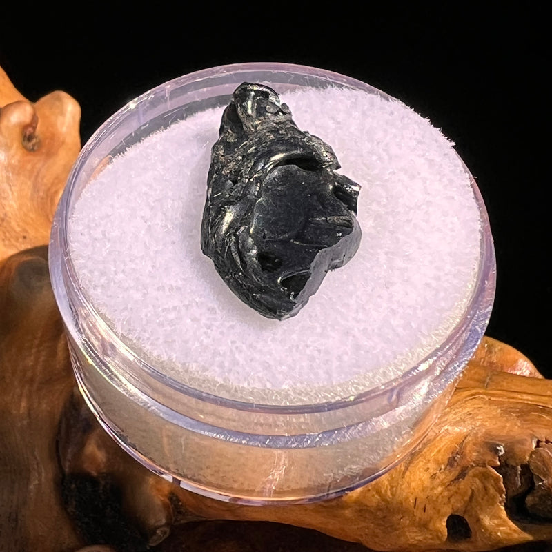 Irgizite Tektite #120-Moldavite Life
