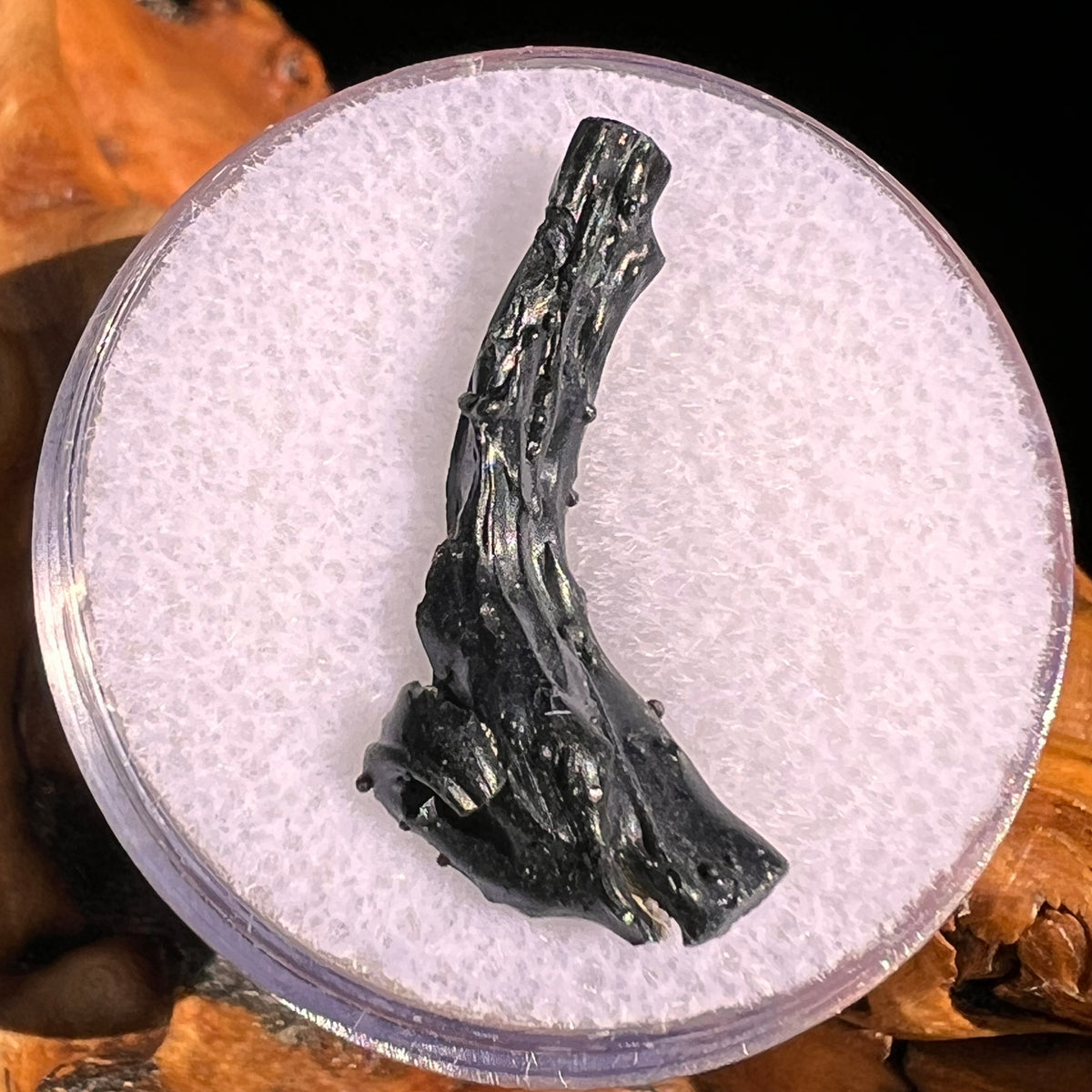 Irgizite Tektite #121-Moldavite Life