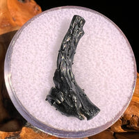Irgizite Tektite #121-Moldavite Life