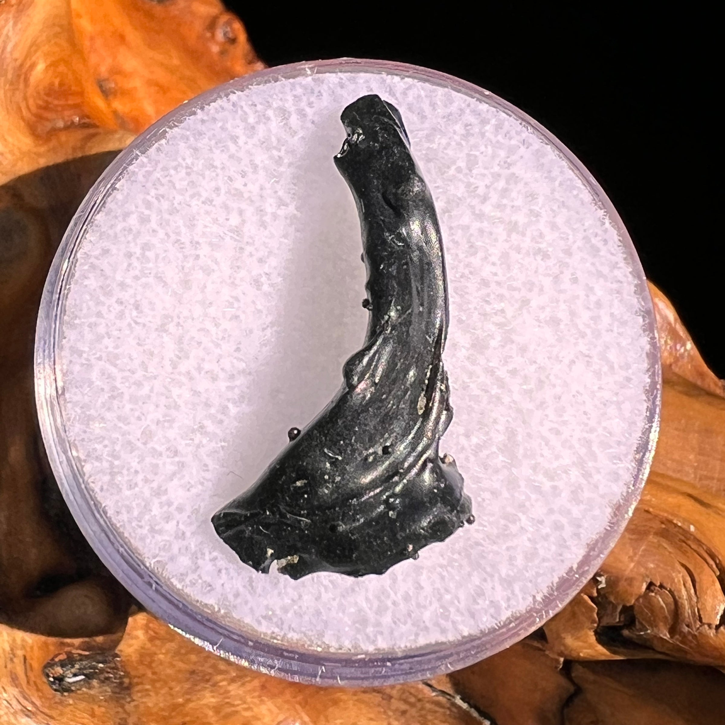 Irgizite Tektite #121-Moldavite Life