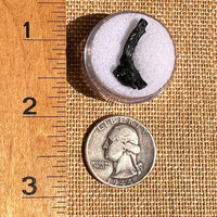 Irgizite Tektite #121-Moldavite Life