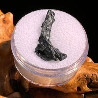Irgizite Tektite #121-Moldavite Life