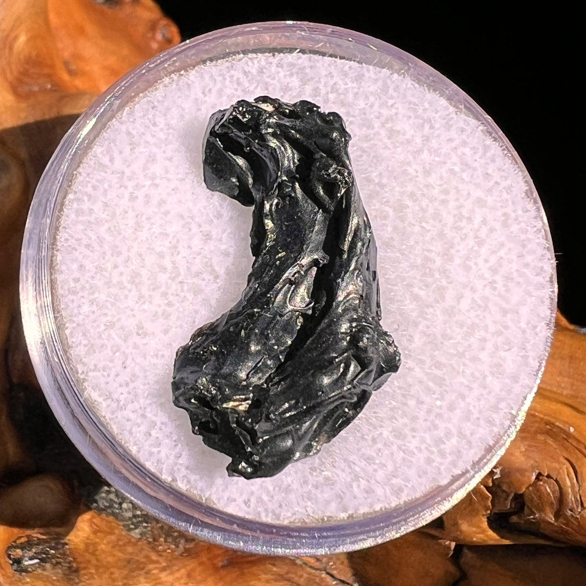 Irgizite Tektite #122-Moldavite Life