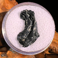 Irgizite Tektite #122-Moldavite Life