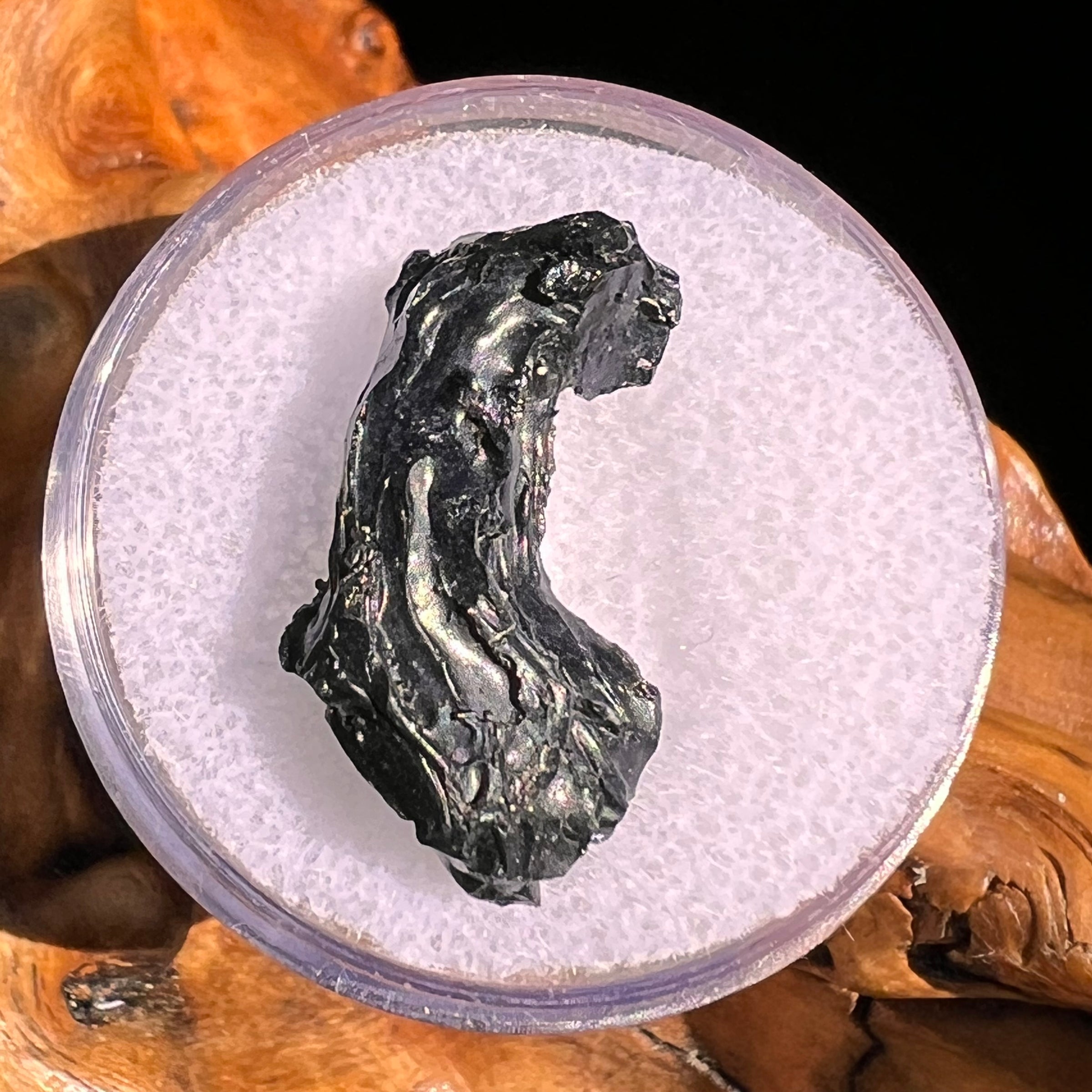 Irgizite Tektite #122-Moldavite Life