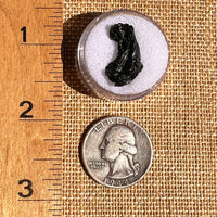 Irgizite Tektite #122-Moldavite Life
