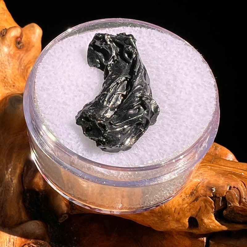 Irgizite Tektite #122-Moldavite Life