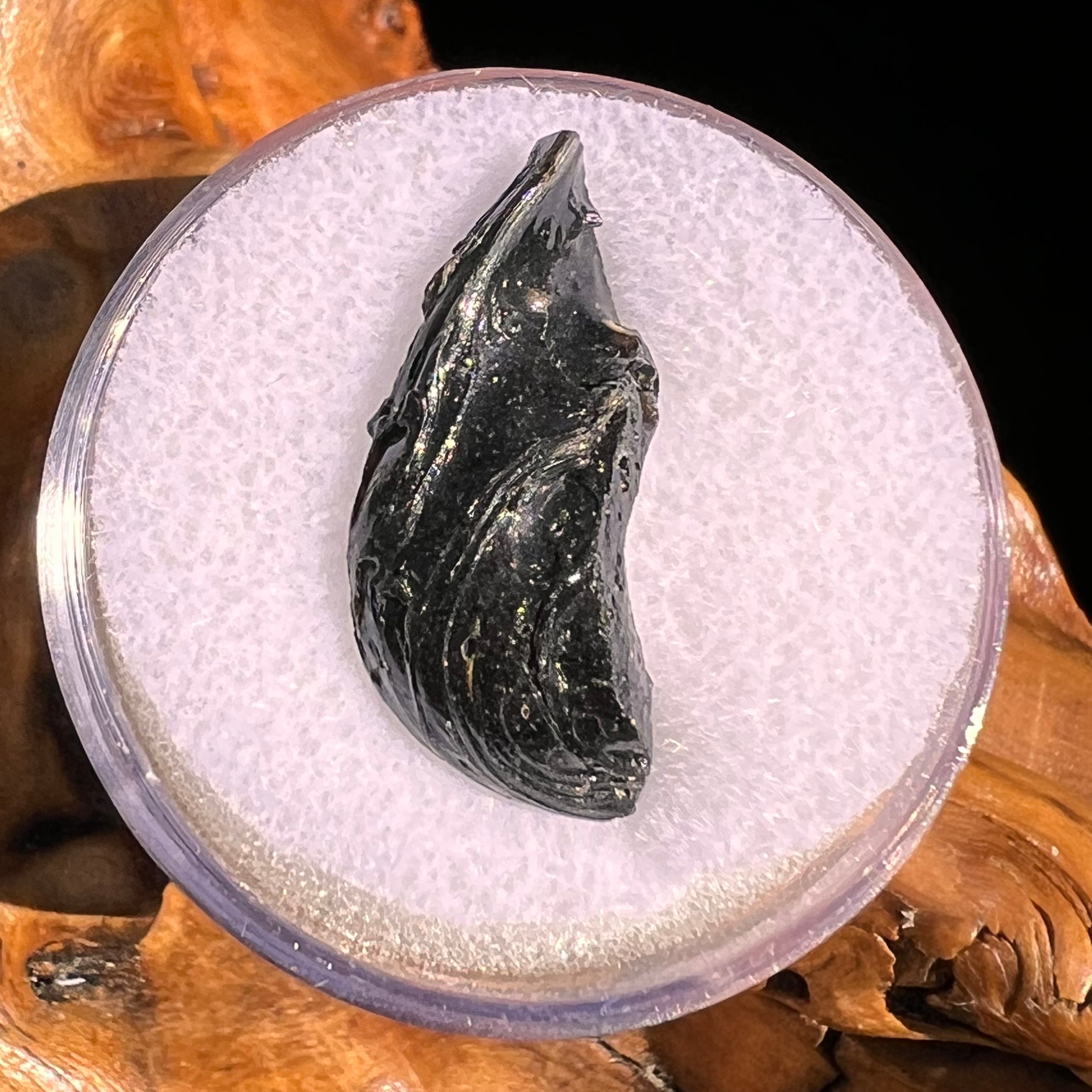 Irgizite Tektite #123-Moldavite Life