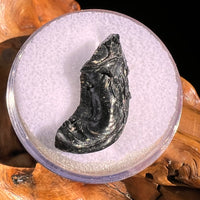 Irgizite Tektite #123-Moldavite Life