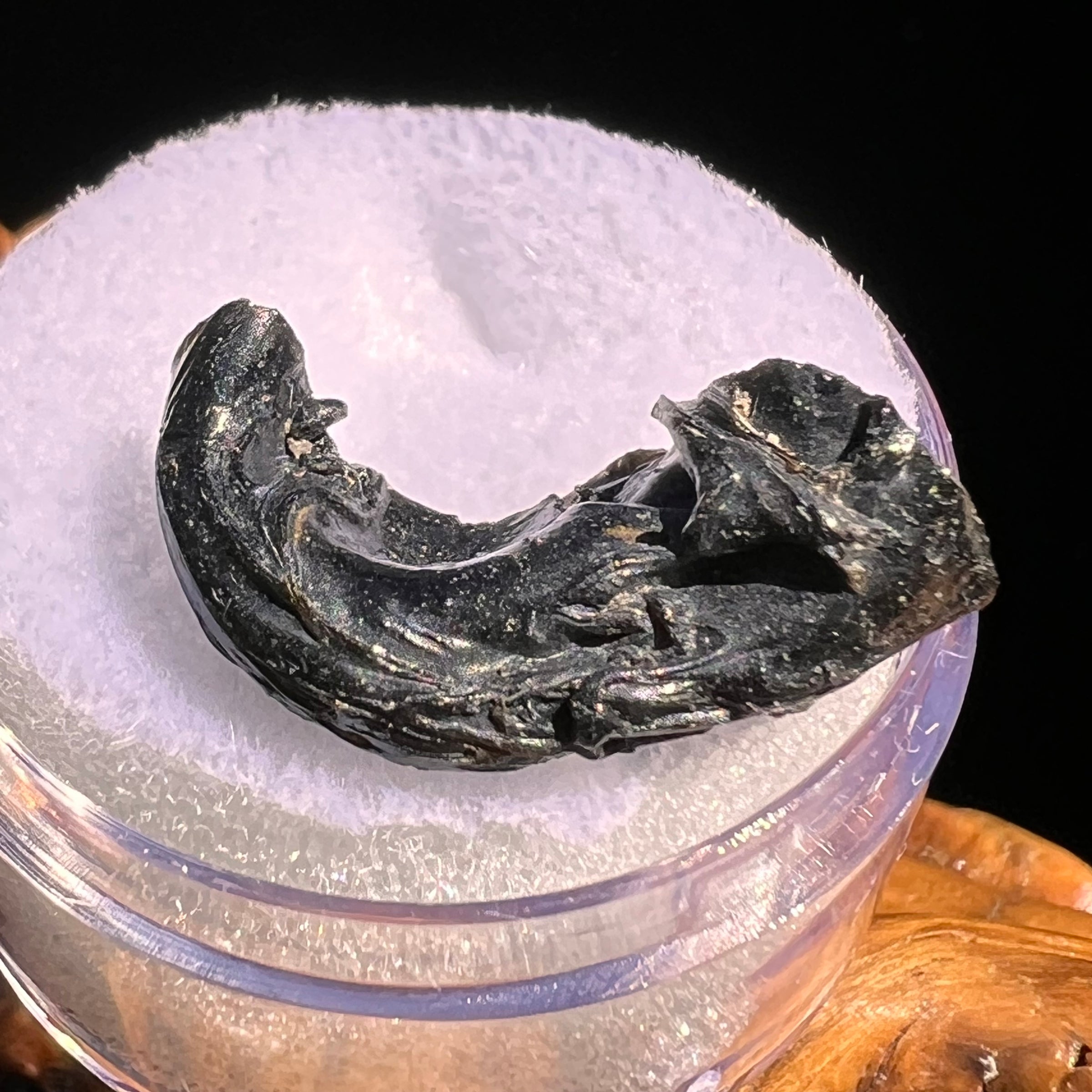 Irgizite Tektite #123-Moldavite Life