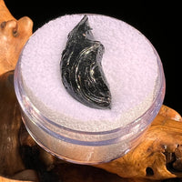 Irgizite Tektite #123-Moldavite Life
