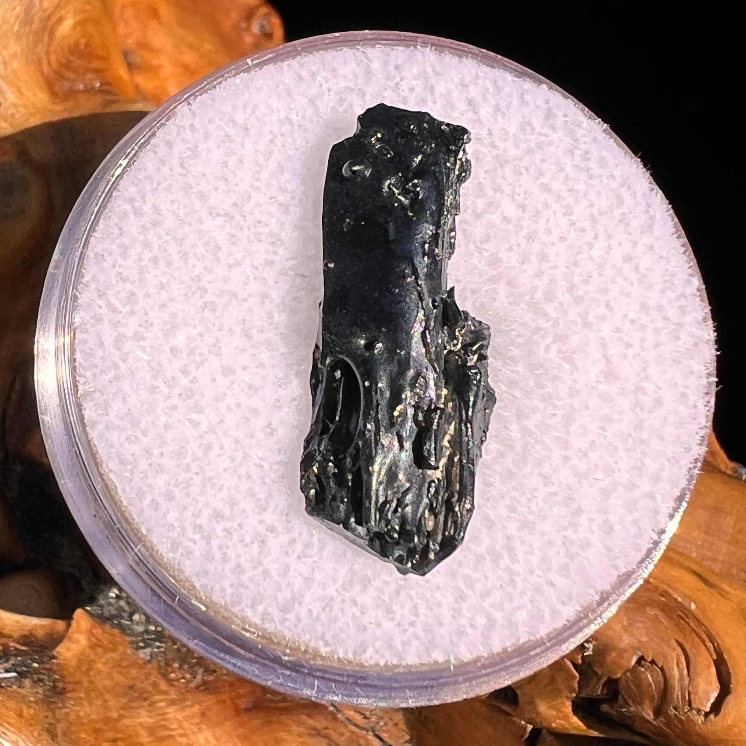 Irgizite Tektite #124-Moldavite Life