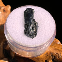 Irgizite Tektite #124-Moldavite Life