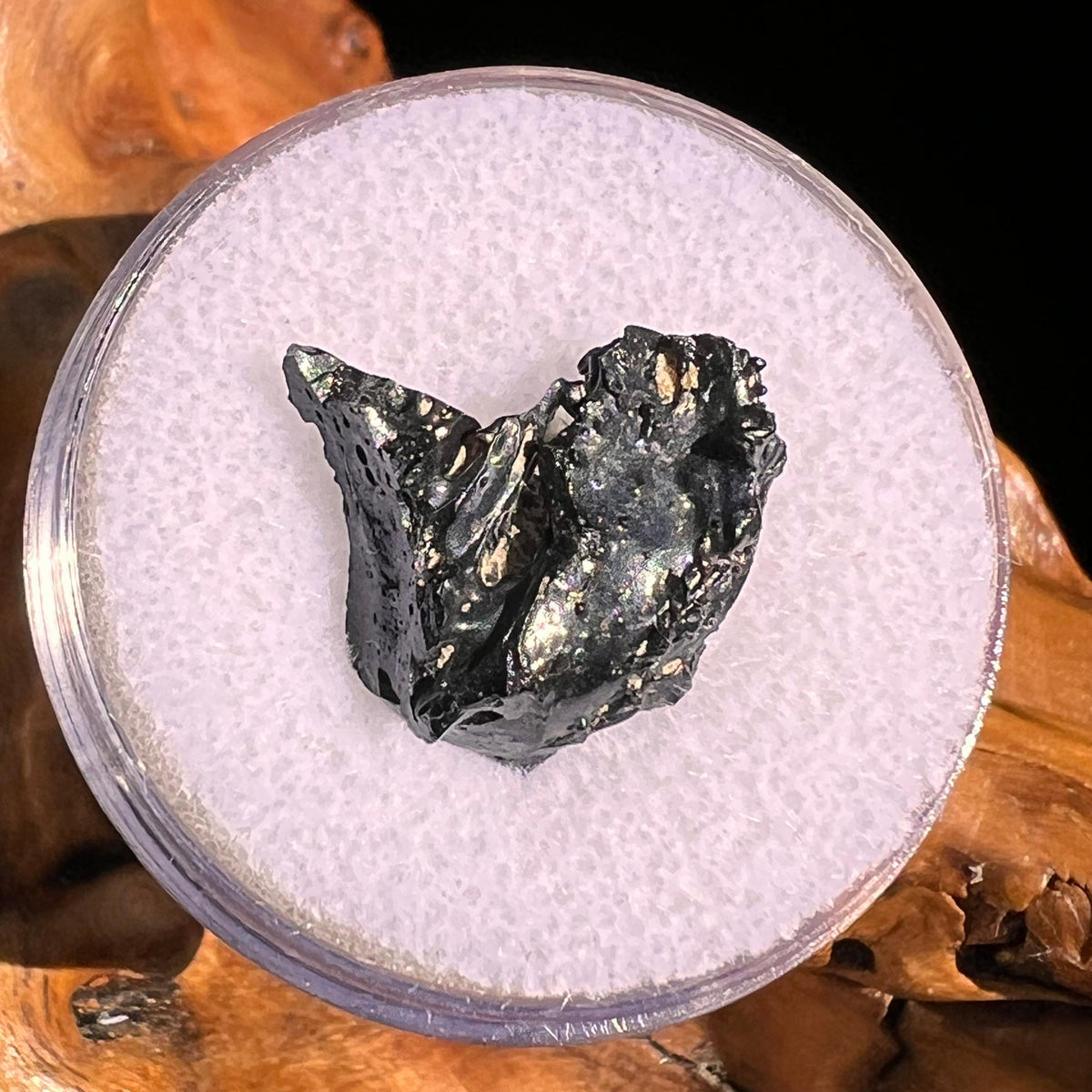 Irgizite Tektite #125-Moldavite Life