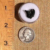 Irgizite Tektite #125-Moldavite Life