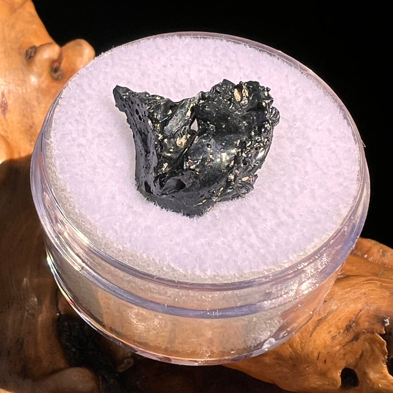 Irgizite Tektite #125-Moldavite Life