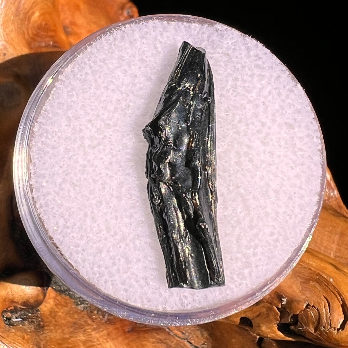 Irgizite Tektite #126-Moldavite Life