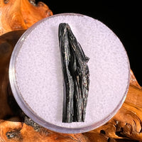 Irgizite Tektite #126-Moldavite Life
