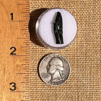 Irgizite Tektite #126-Moldavite Life