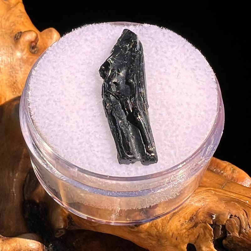 Irgizite Tektite #126-Moldavite Life