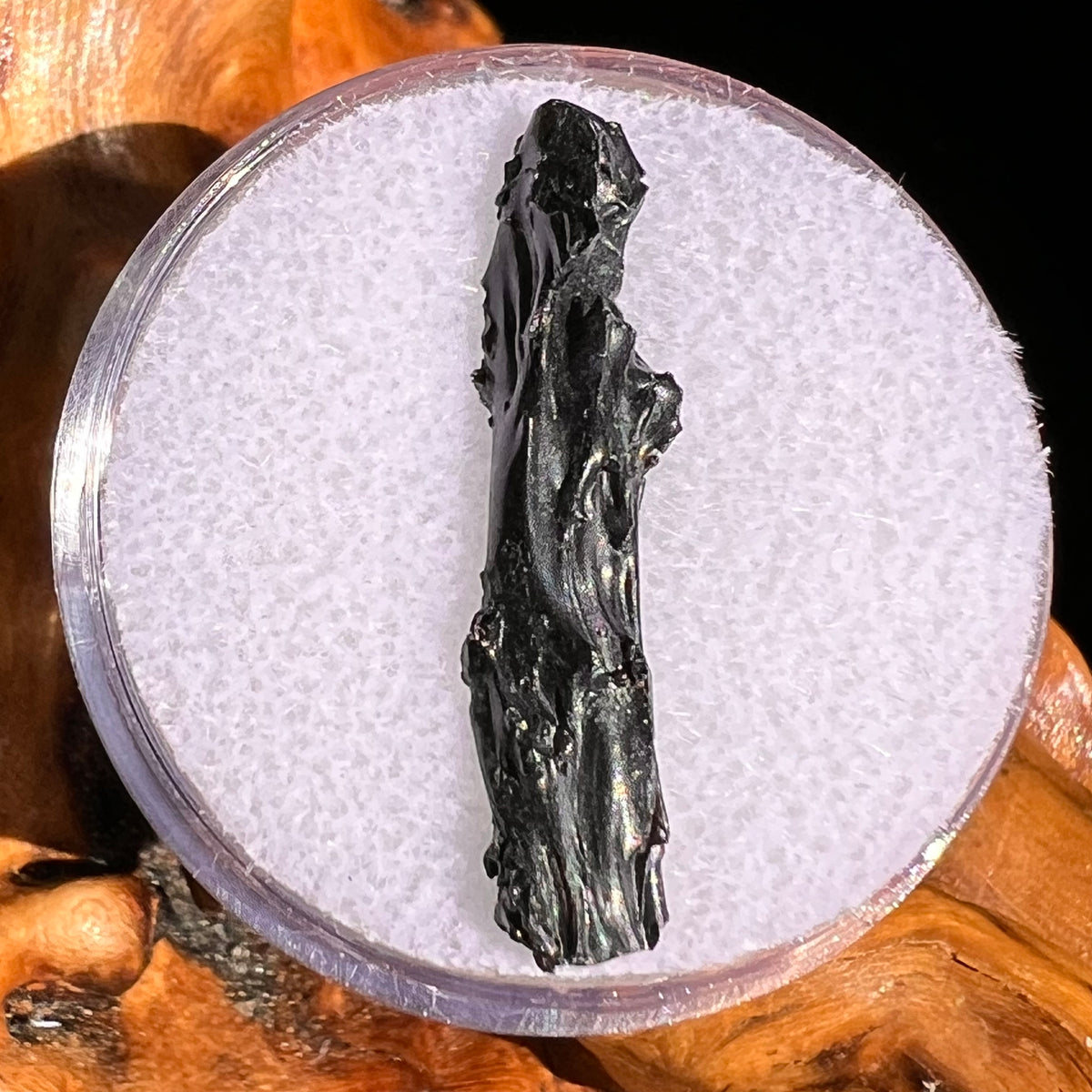 Irgizite Tektite #127-Moldavite Life