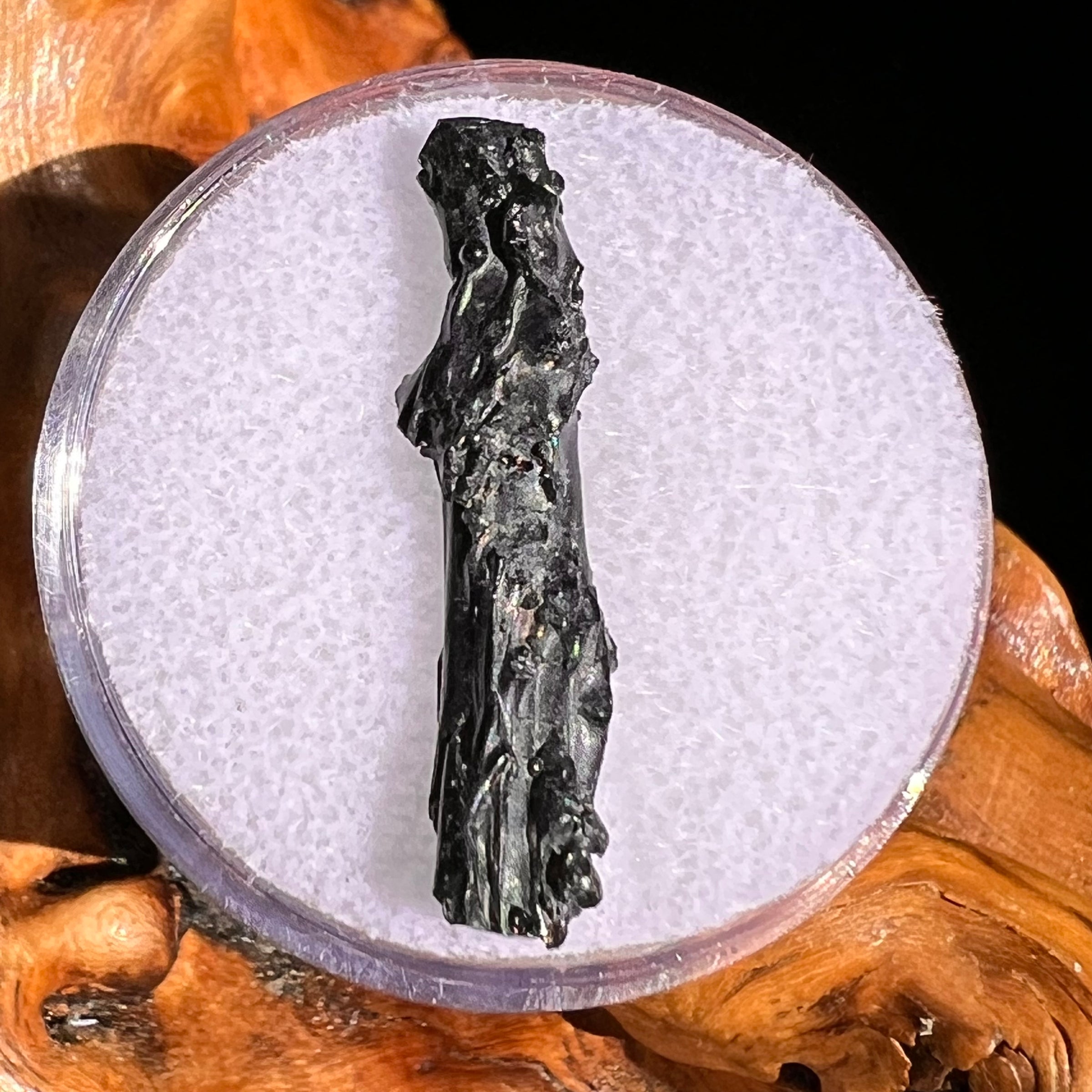 Irgizite Tektite #127-Moldavite Life