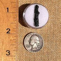 Irgizite Tektite #127-Moldavite Life
