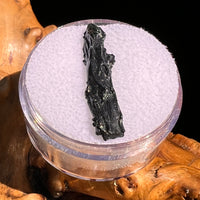 Irgizite Tektite #127-Moldavite Life