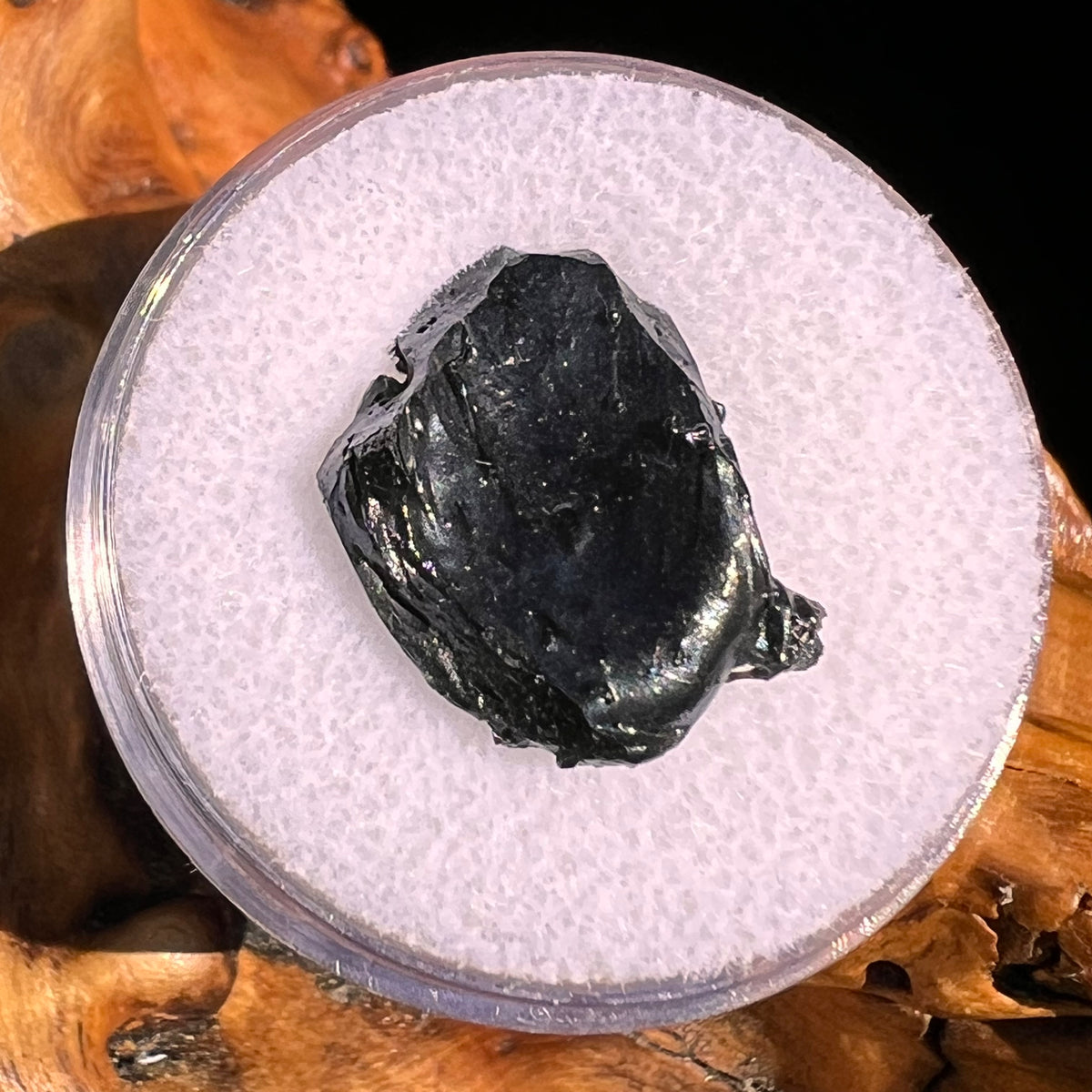 Irgizite Tektite #128-Moldavite Life