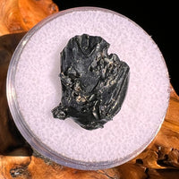 Irgizite Tektite #128-Moldavite Life