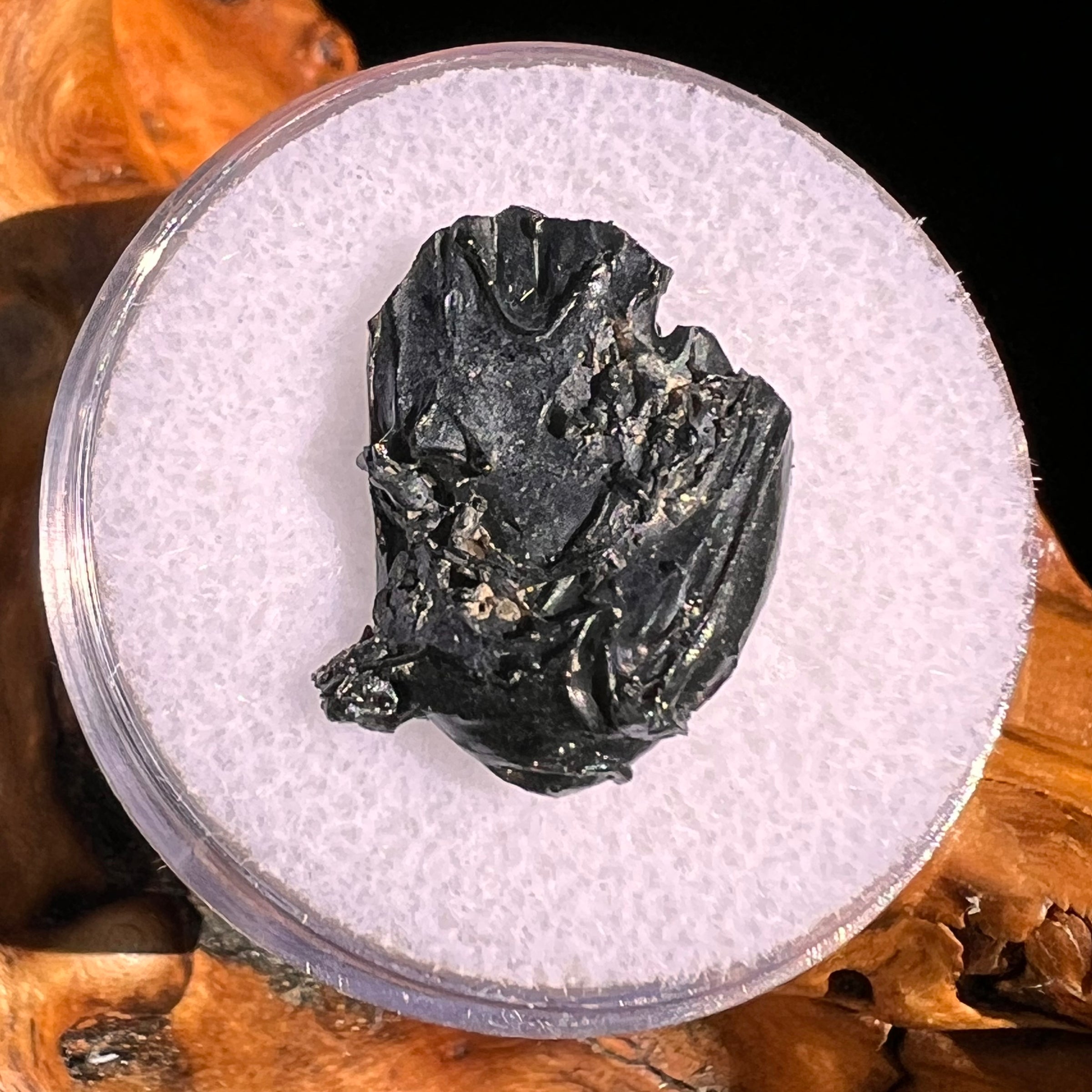 Irgizite Tektite #128-Moldavite Life