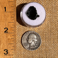 Irgizite Tektite #128-Moldavite Life