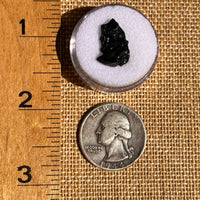 Irgizite Tektite #129-Moldavite Life