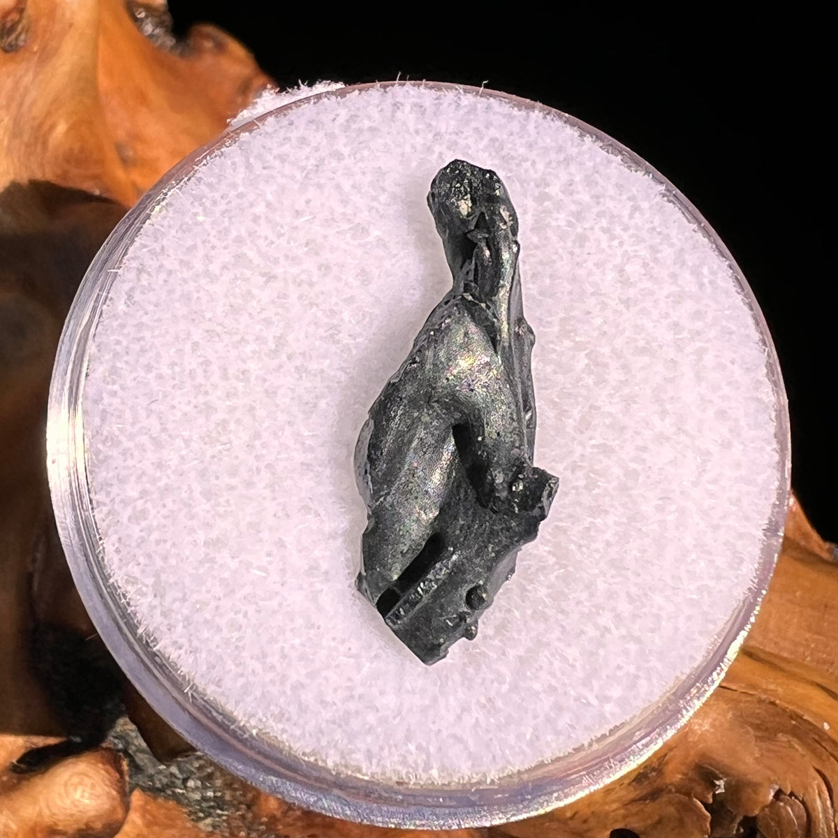 Irgizite Tektite #130-Moldavite Life